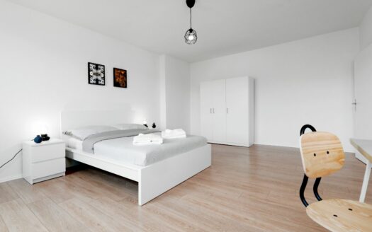 2 Rooms on Mehringdamm (Kreuzberg)